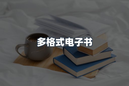 多格式电子书